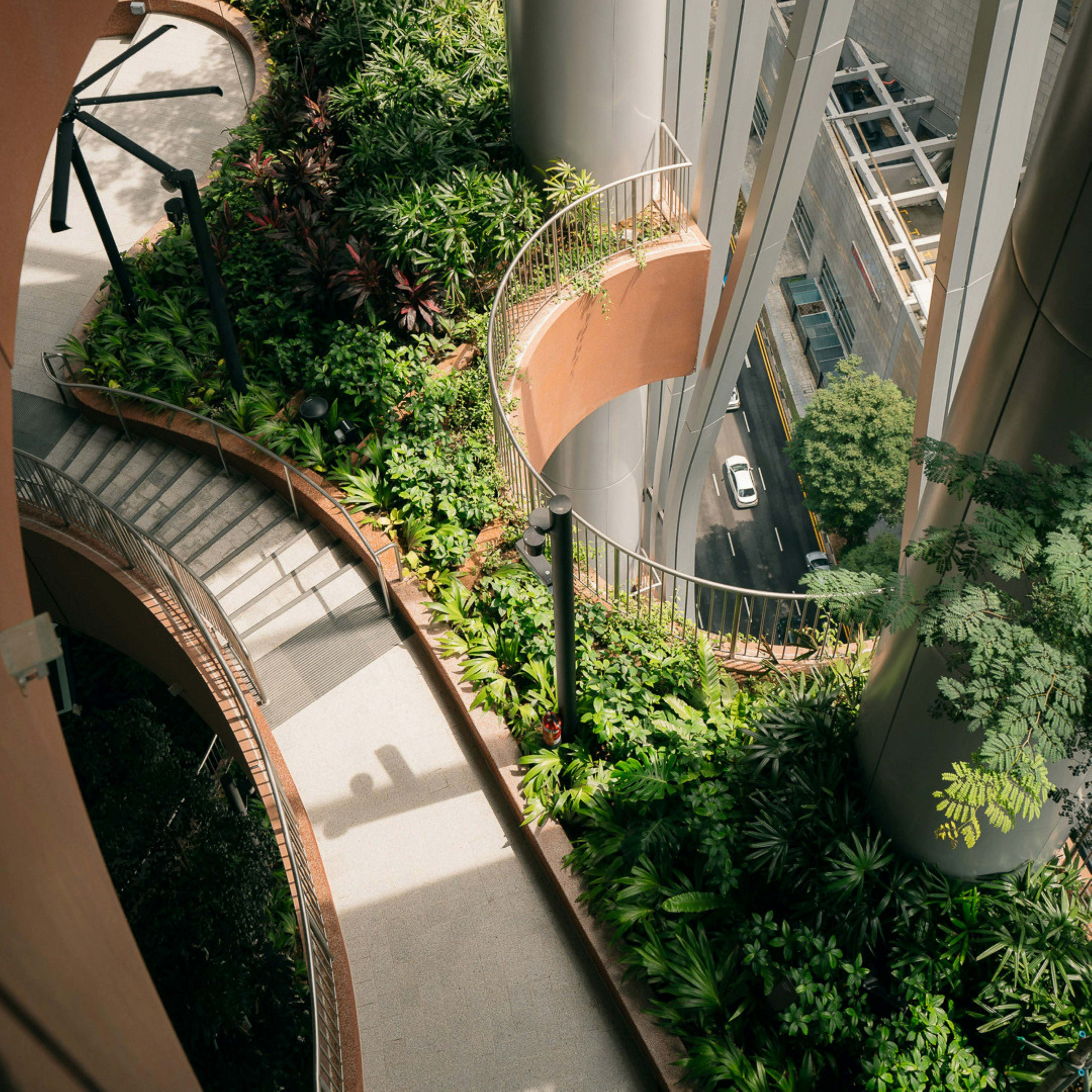 Guiding Architects, tour: Eine Stadt in der Natur (Fig. 1)