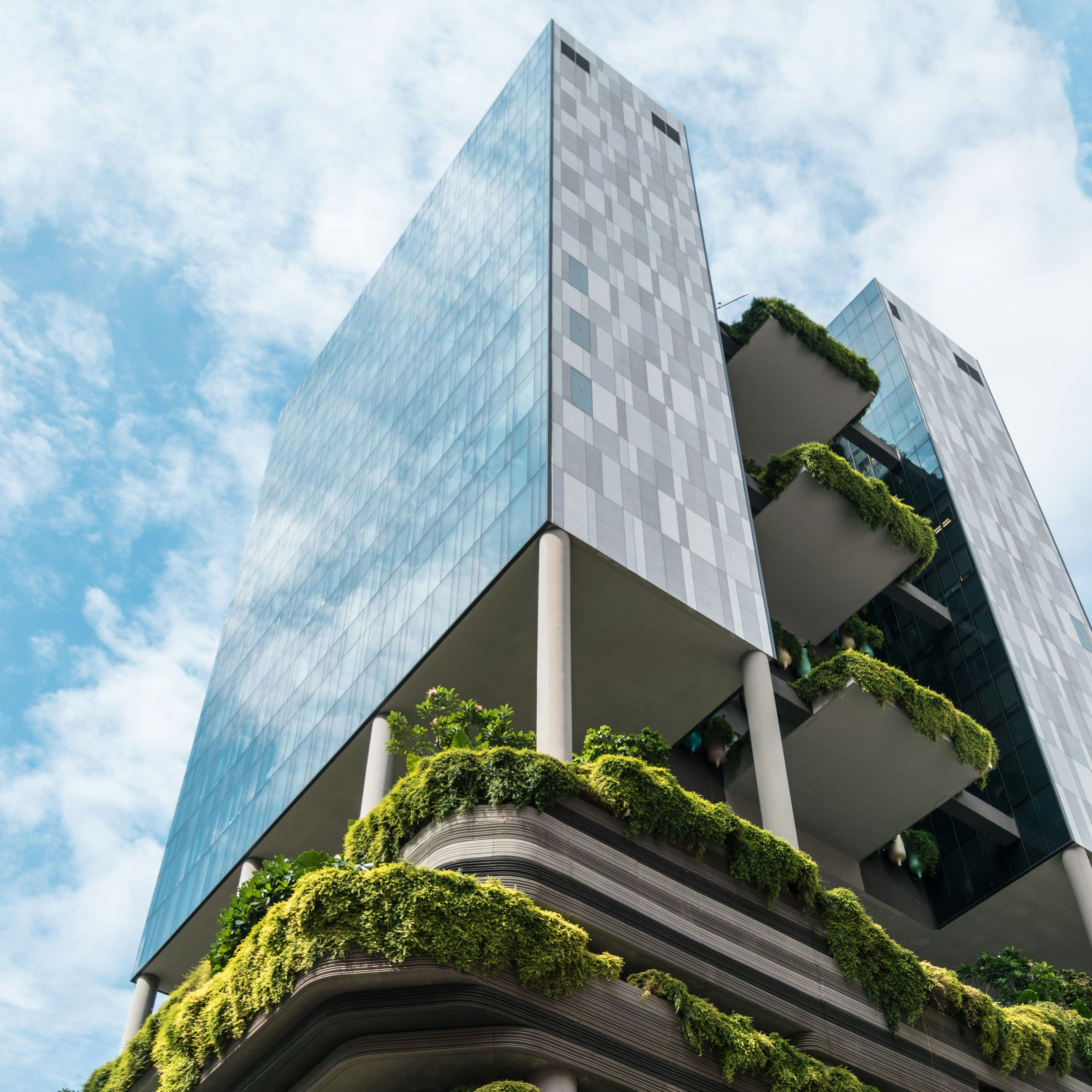 Guiding Architects, tour: Eine Stadt in der Natur (Fig. 2)