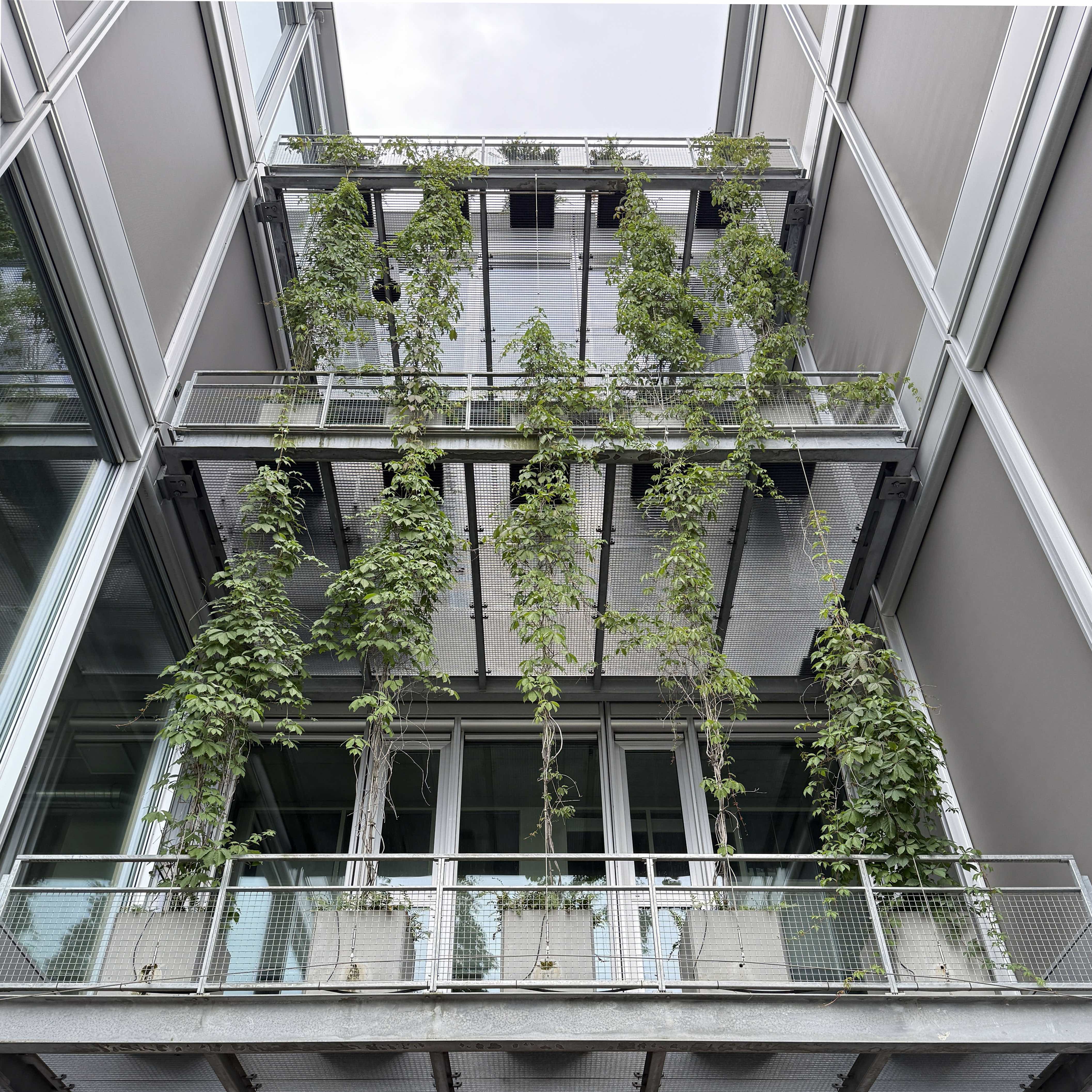 Guiding Architects, tour: Cooperative Housing (Fig. 5)