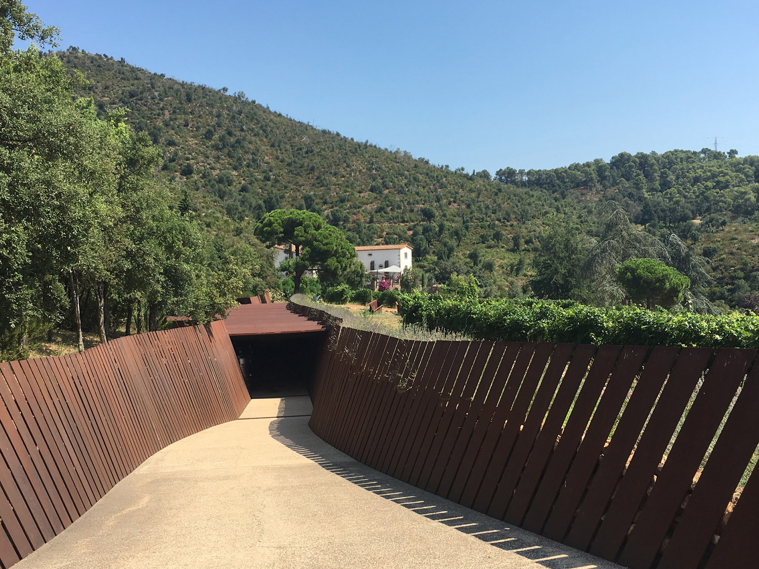 Guiding Architects, tour: Dialogue Between Old and New (Fig. 1)