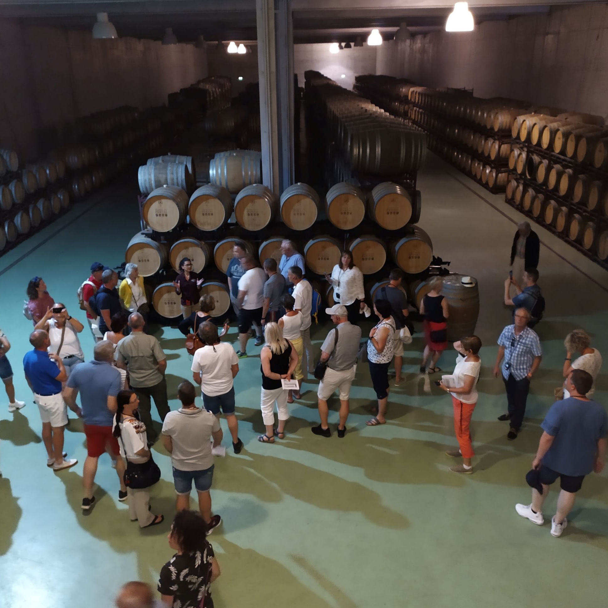 Guiding Architects, tour: Douro: Landscape, Architecture and Wine (Fig. 5)