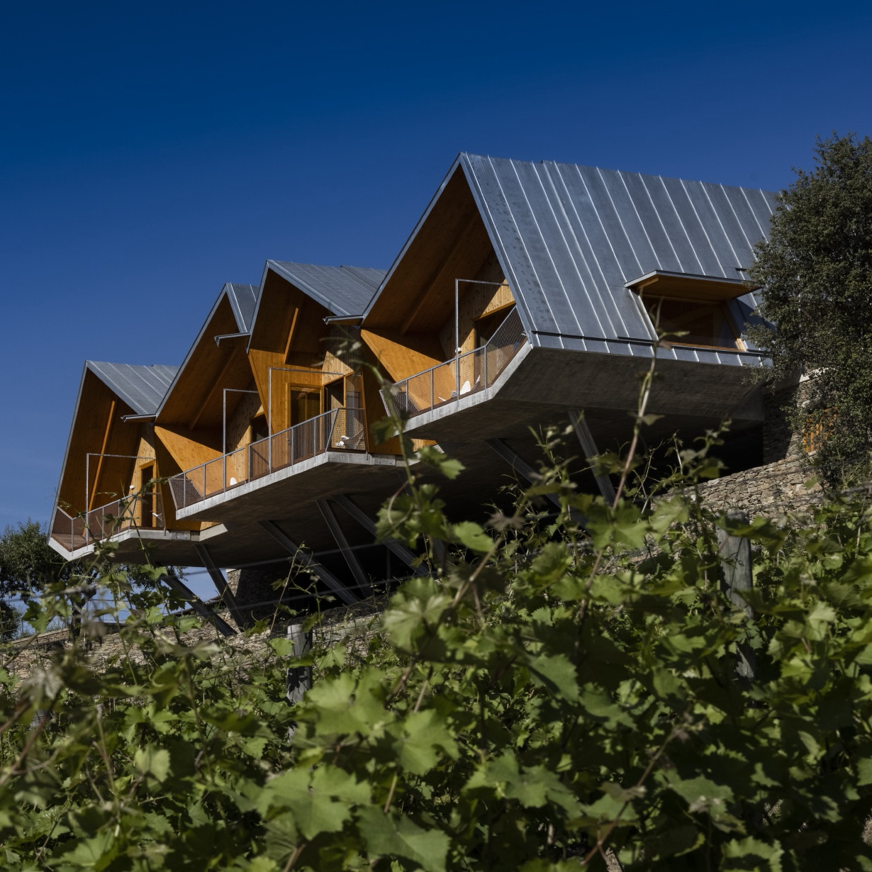 Guiding Architects, tour: Douro: Landscape, Architecture and Wine (Fig. 6)