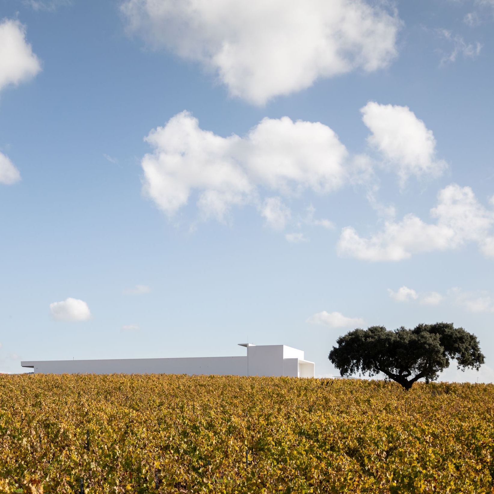 Lisbon: Évora in the Alentejo (Thumbnail)