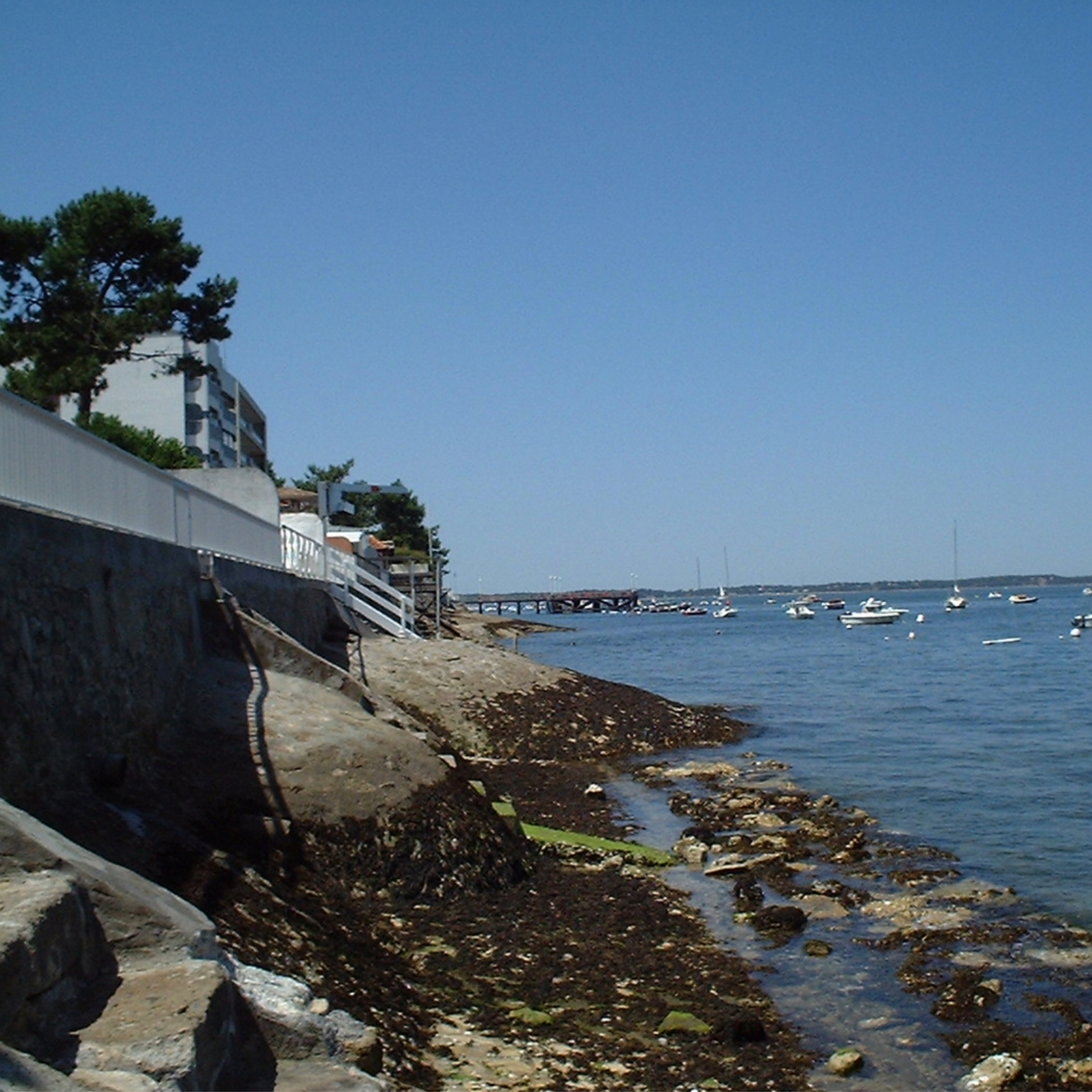 Guiding Architects, tour: Holiday Homes, Dream Homes: Seaside Architecture (Fig. 5)