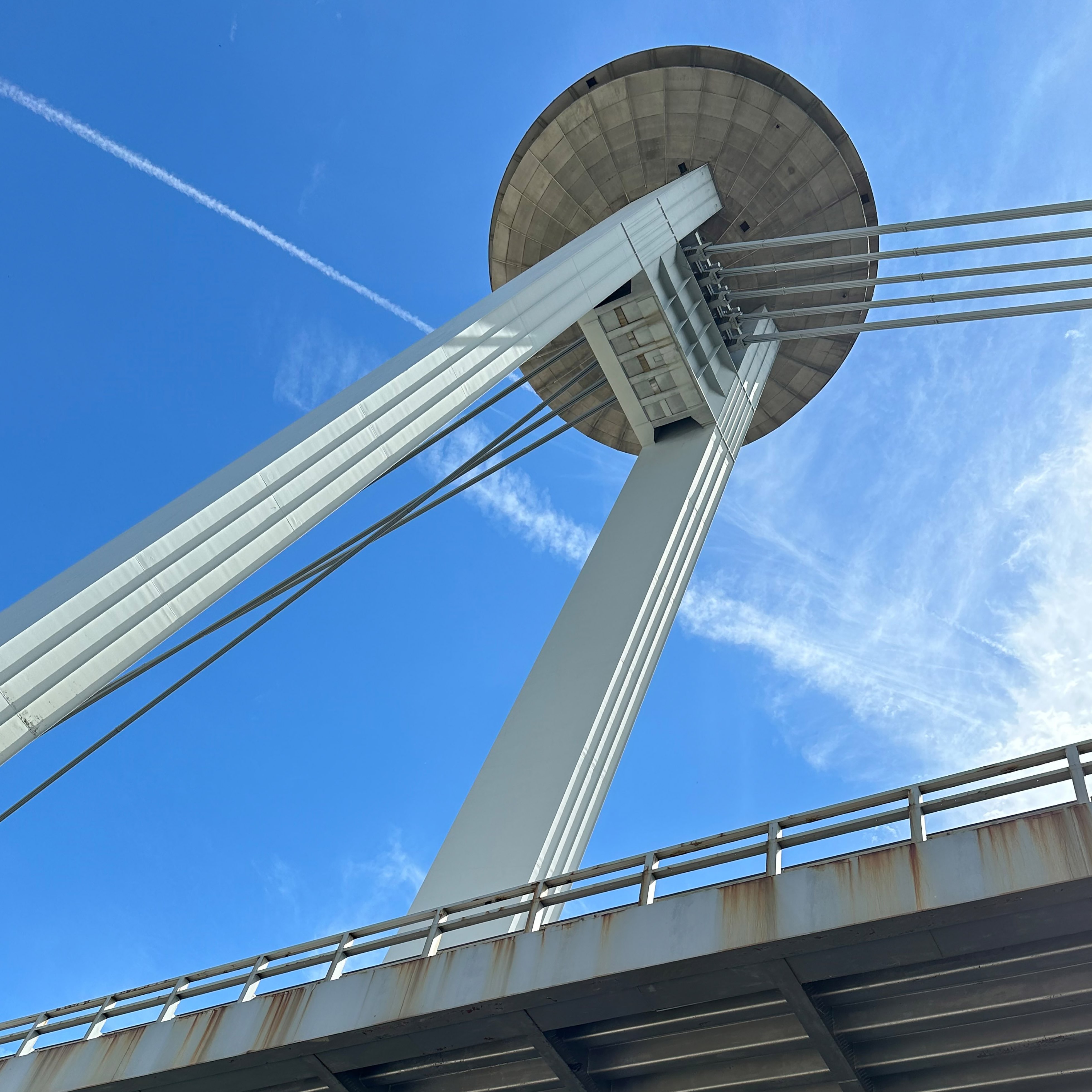 Guiding Architects, tour: Icons of mid-century modernism (Fig. 1)