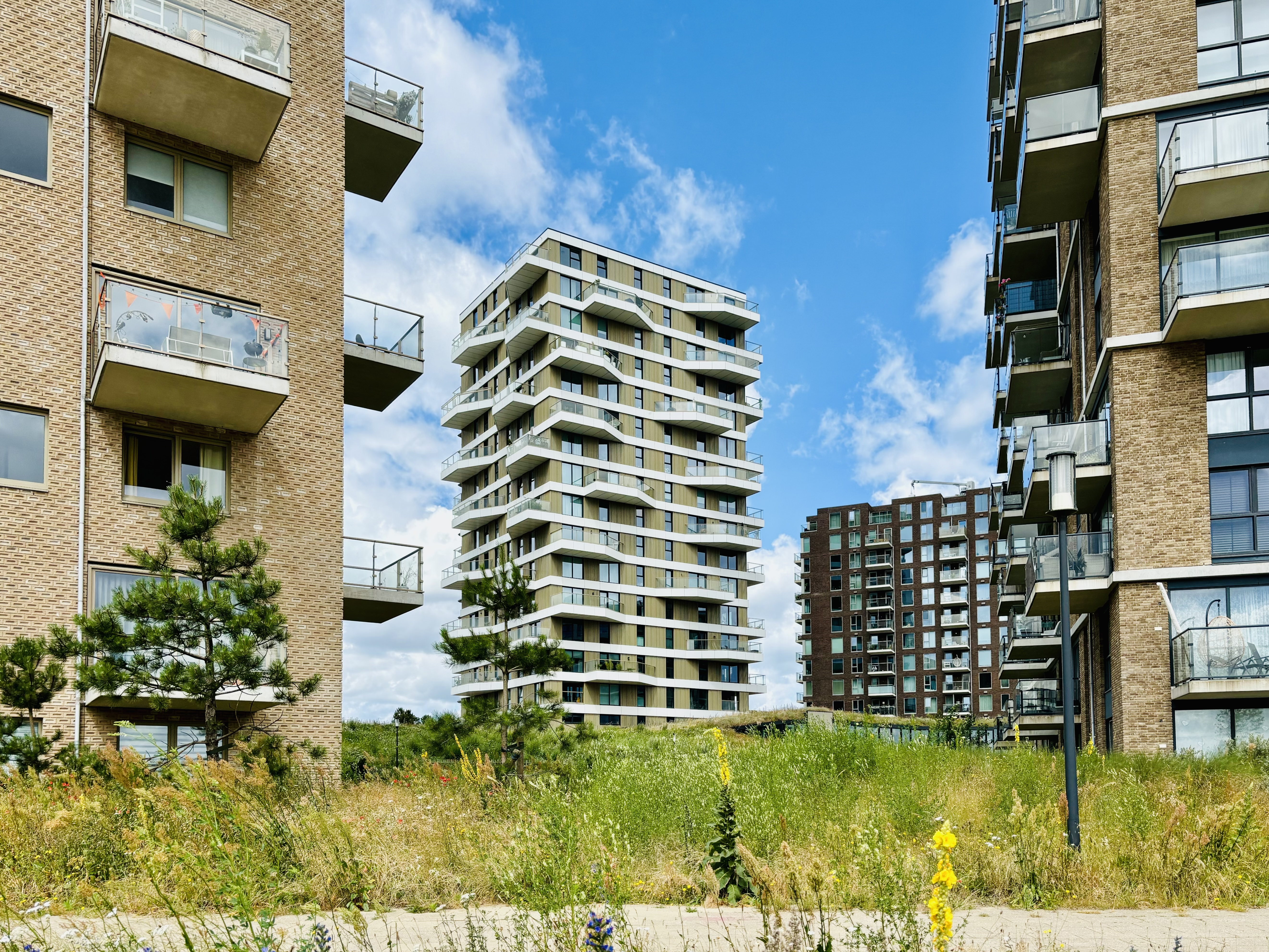 Guiding Architects, tour: Innovative Urbanism: Duin and Homerus (Fig. 6)