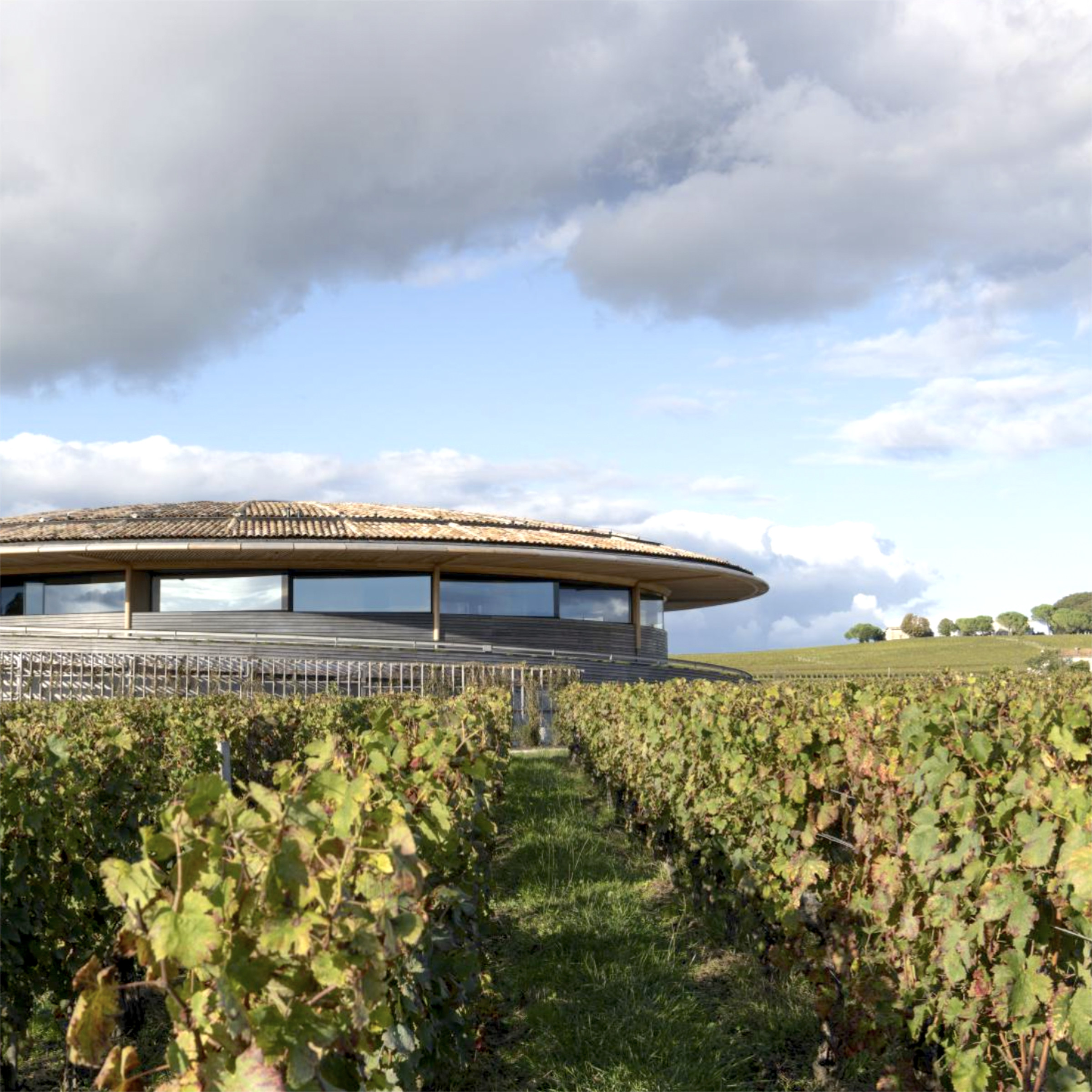 Tour: Libournais: The Epicenter of Wine Culture (Thumbnail)