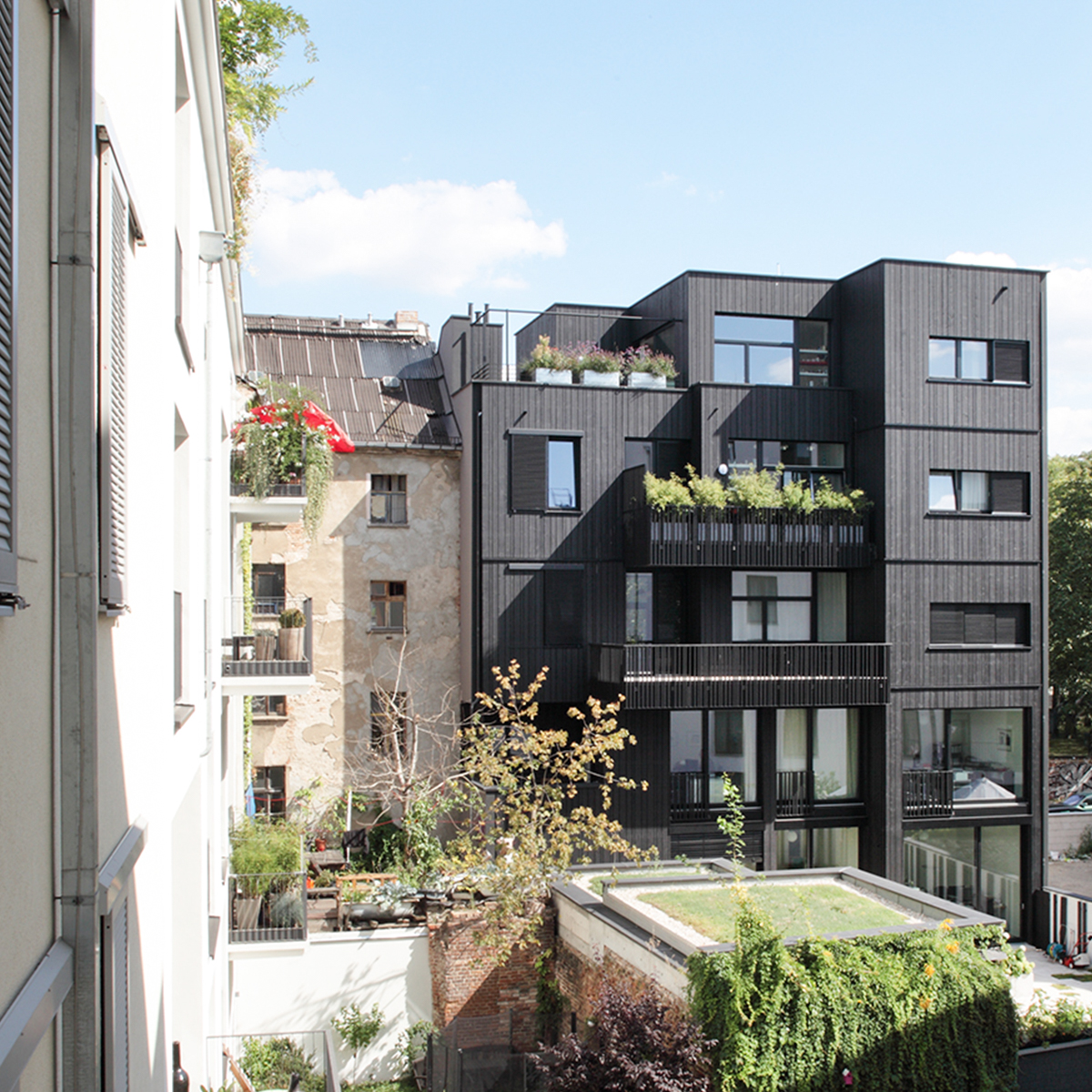 Guiding Architects, tour: Making Mitte: Babylon to Tacheles (Fig. 3)