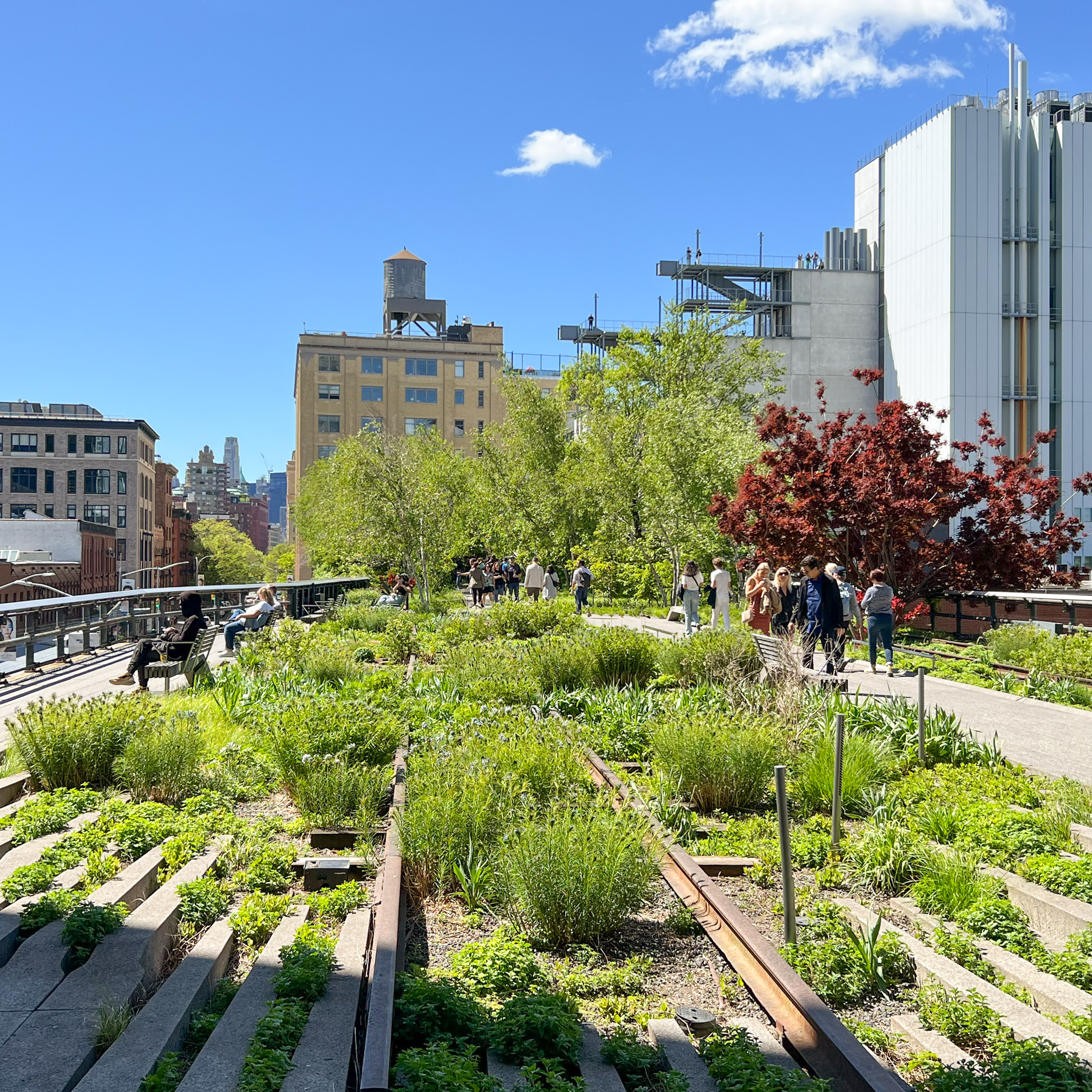 Tour: Meatpacking District, Chelsea & Hudson Yards (Thumbnail)
