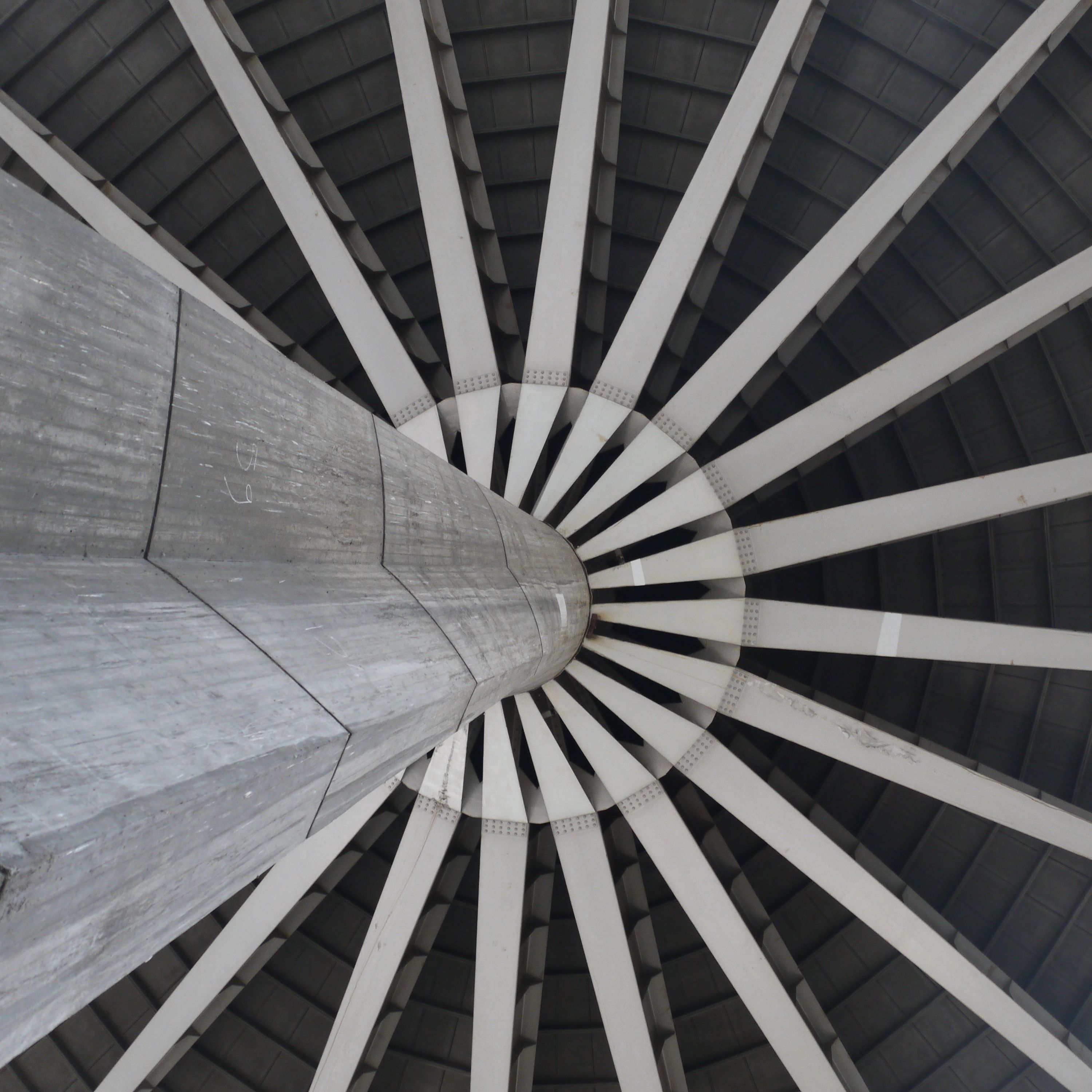 Guiding Architects, tour: Pier Luigi Nervi in Turin (Fig. 2)