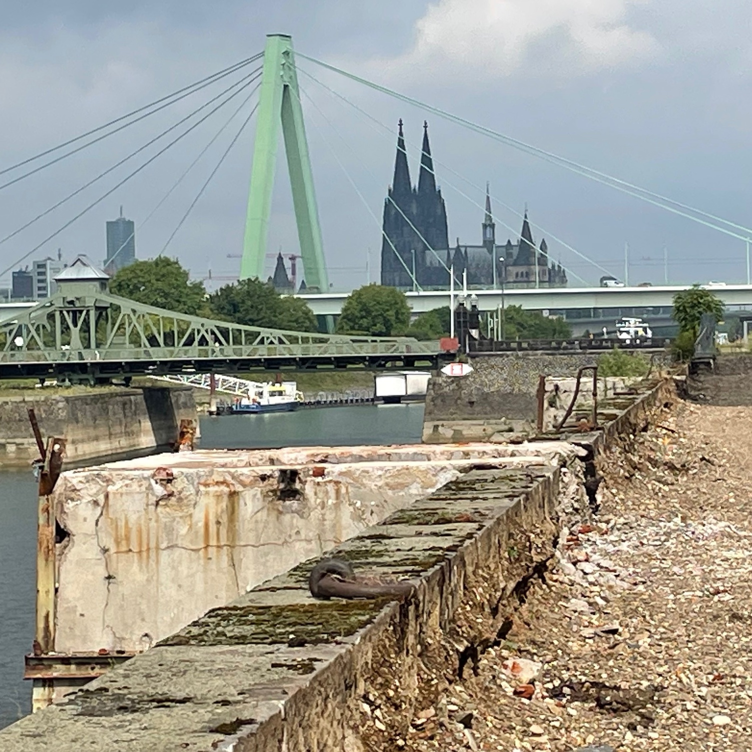 Guiding Architects, tour: Port transformation on both sides of the Rhine (Fig. 5)