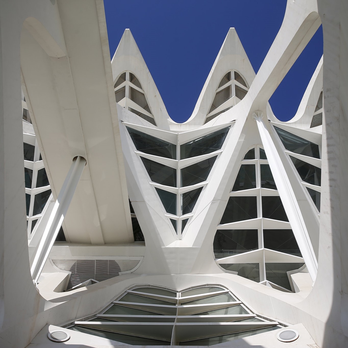 Guiding Architects, tour: Santiago Calatrava (Fig. 4)