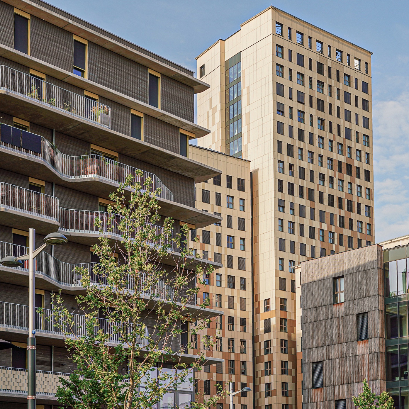 Guiding Architects, tour: Seestadt Aspern – City within a city (Fig. 5)