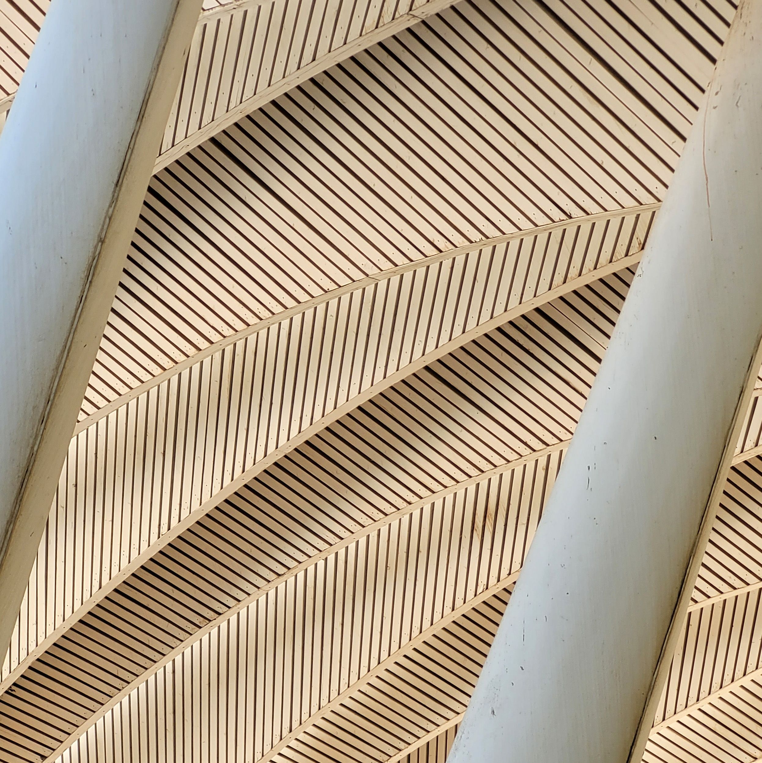 Guiding Architects, tour: The City of International  Exhibitions (Fig. 1)