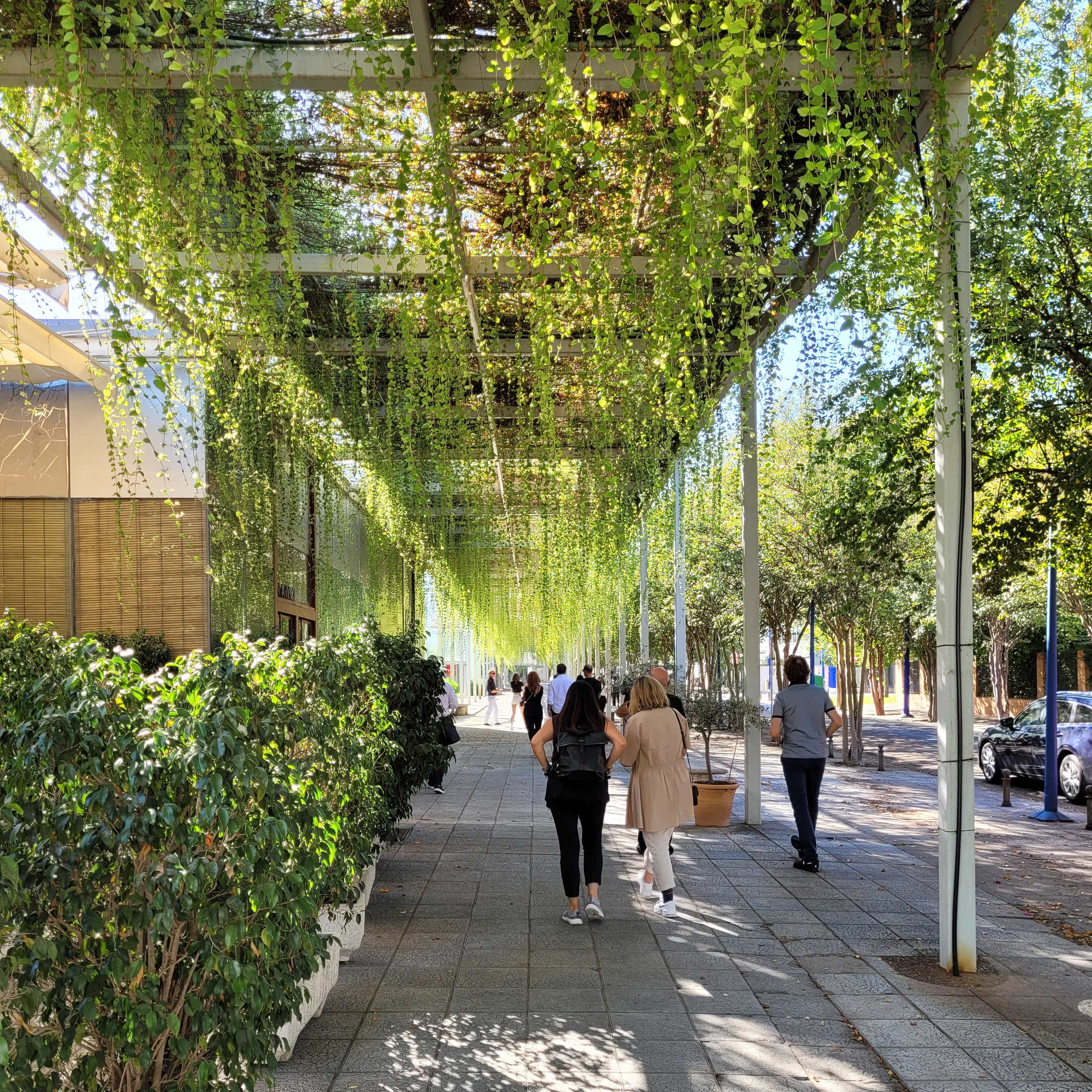 Tour: Urban Perspectives in Sevilla (Thumbnail)