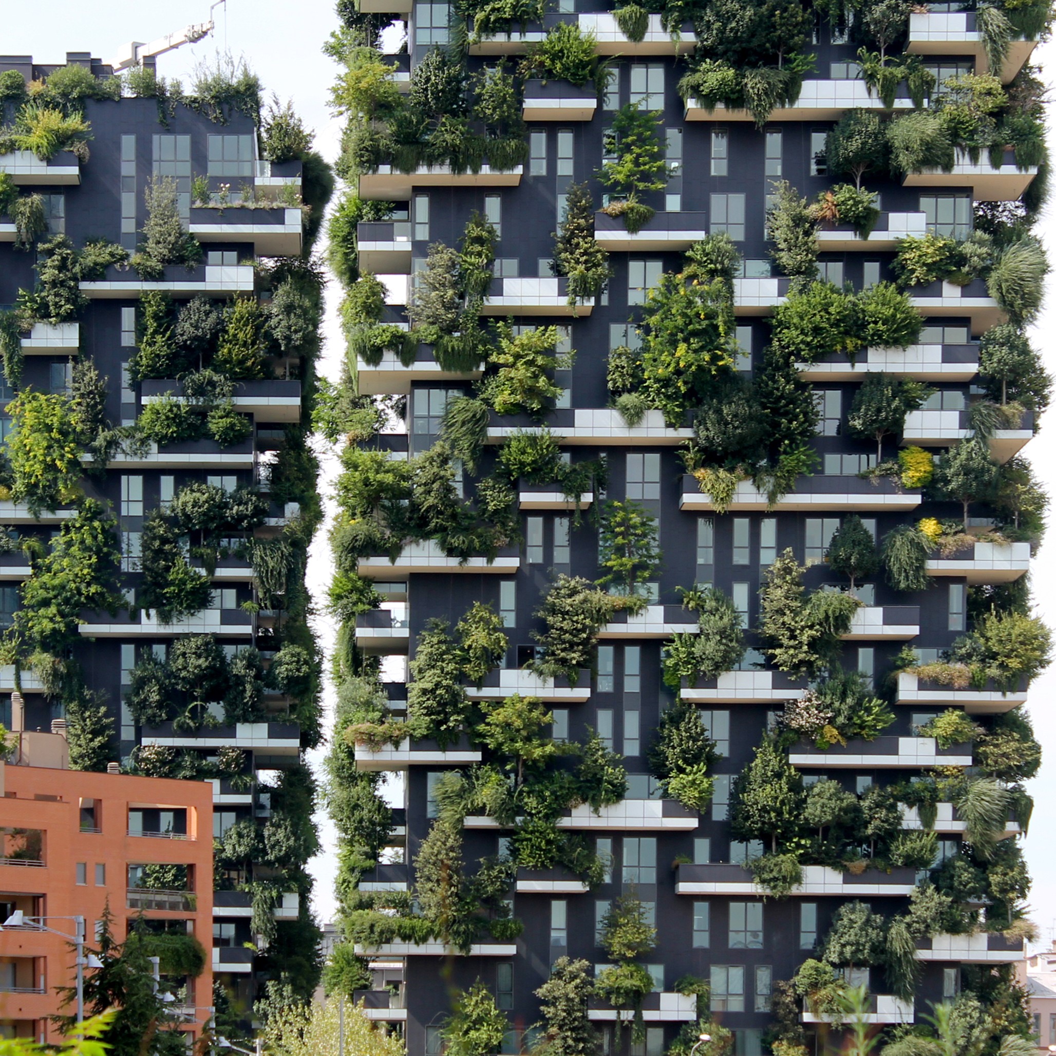 Tour: Urban regeneration projects, a rebirth of the city (Thumbnail)