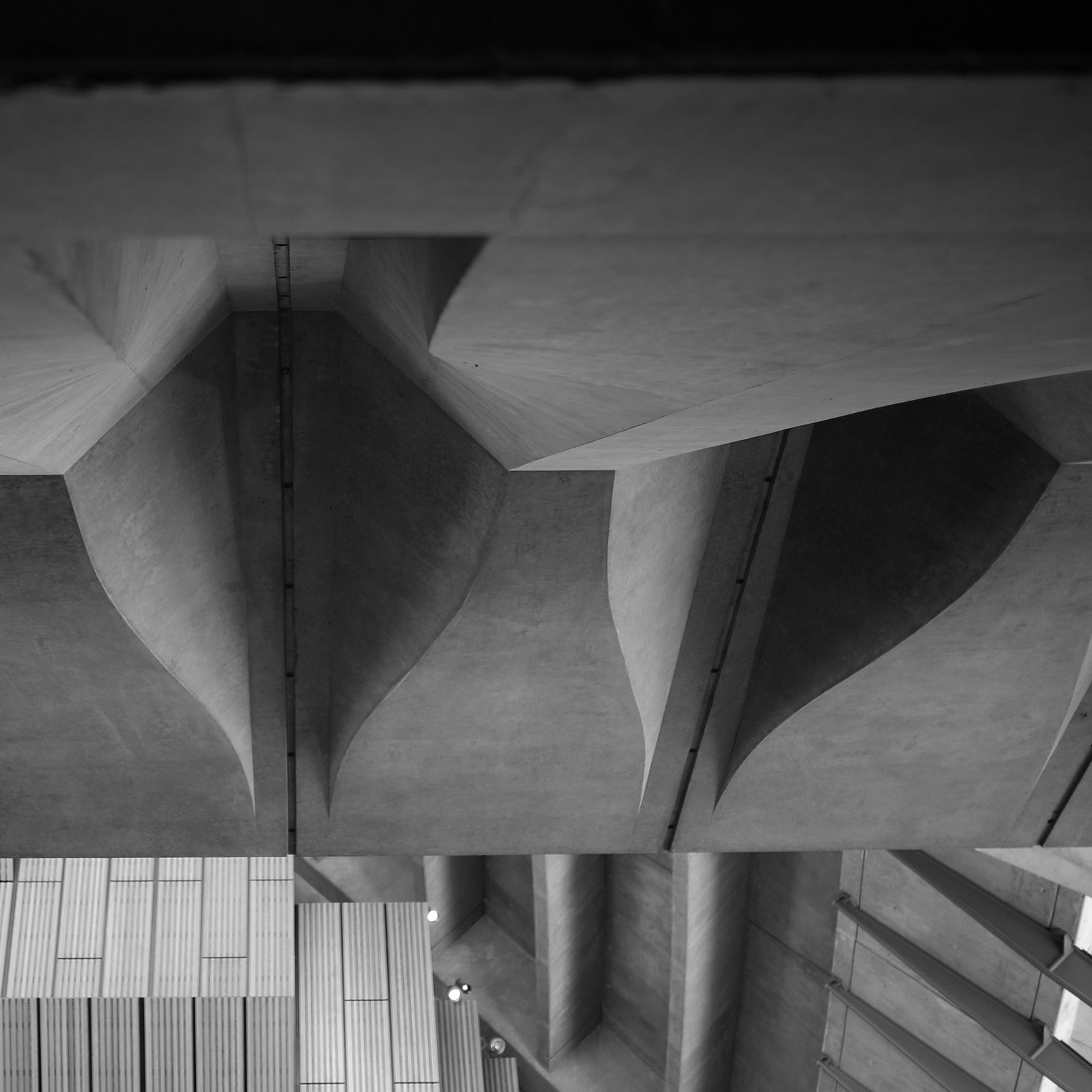 Guiding Architects, tour: Utzon and the Sydney Opera House (Fig. 2)