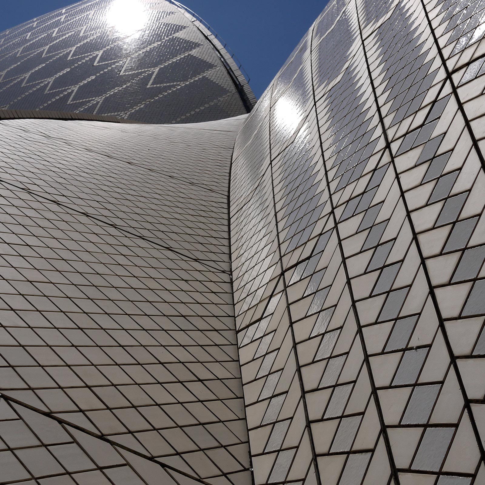 Guiding Architects, tour: Utzon and the Sydney Opera House (Fig. 5)