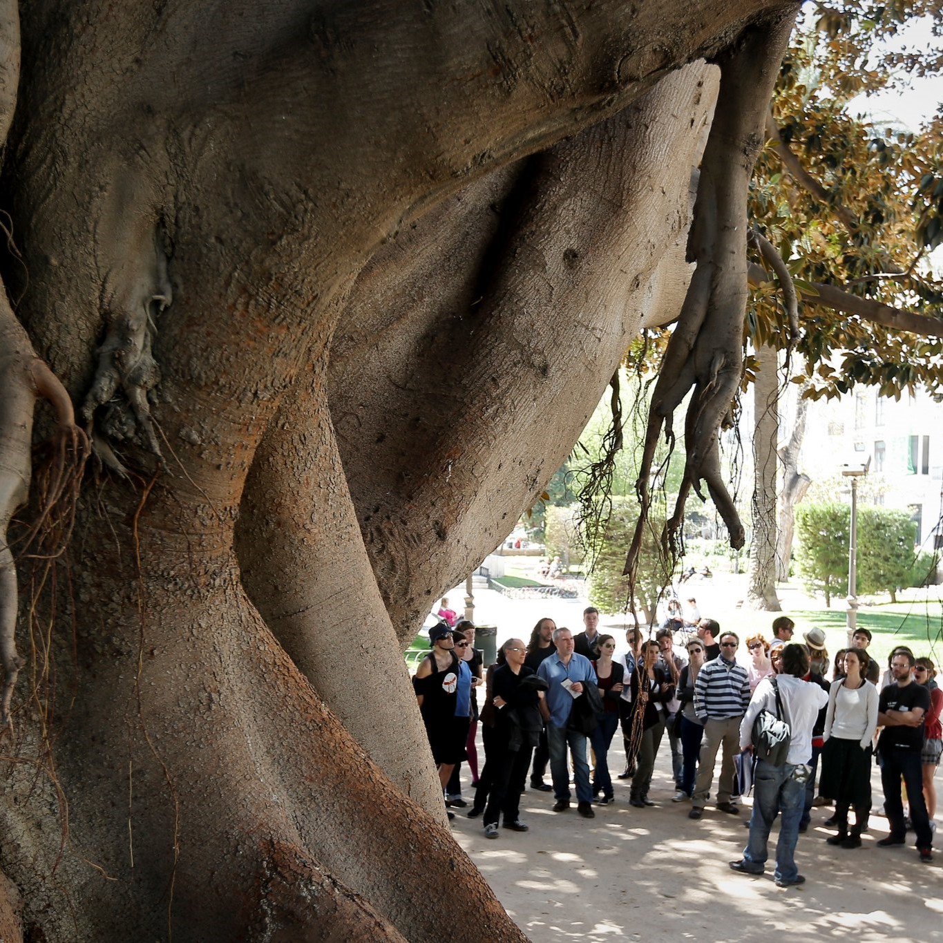 Guiding Architects, tour: Valencia City Center (Fig. 5)