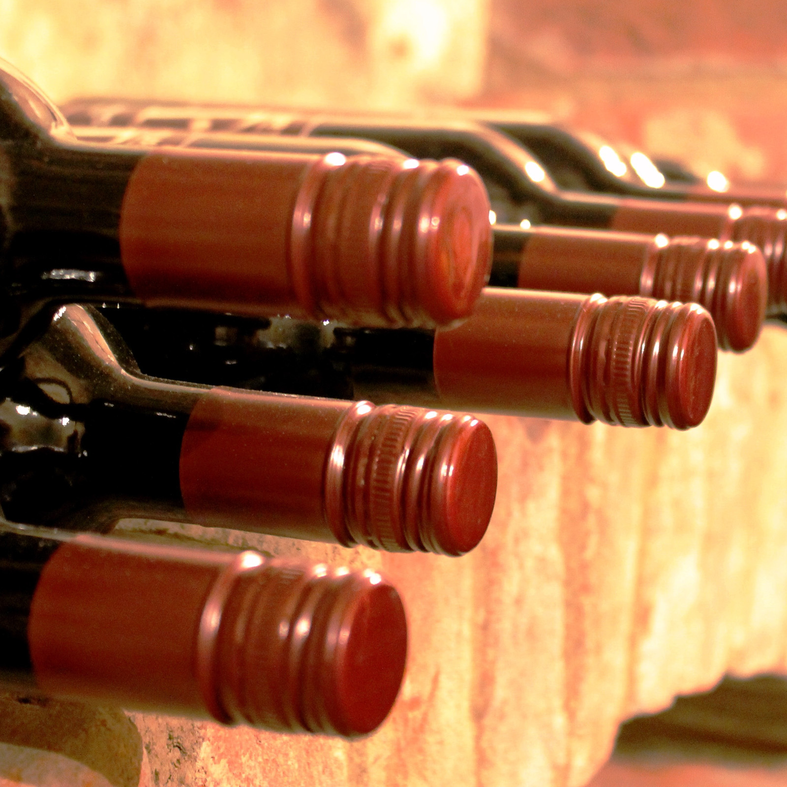 Guiding Architects, tour: Wine and Architecture (Fig. 5)