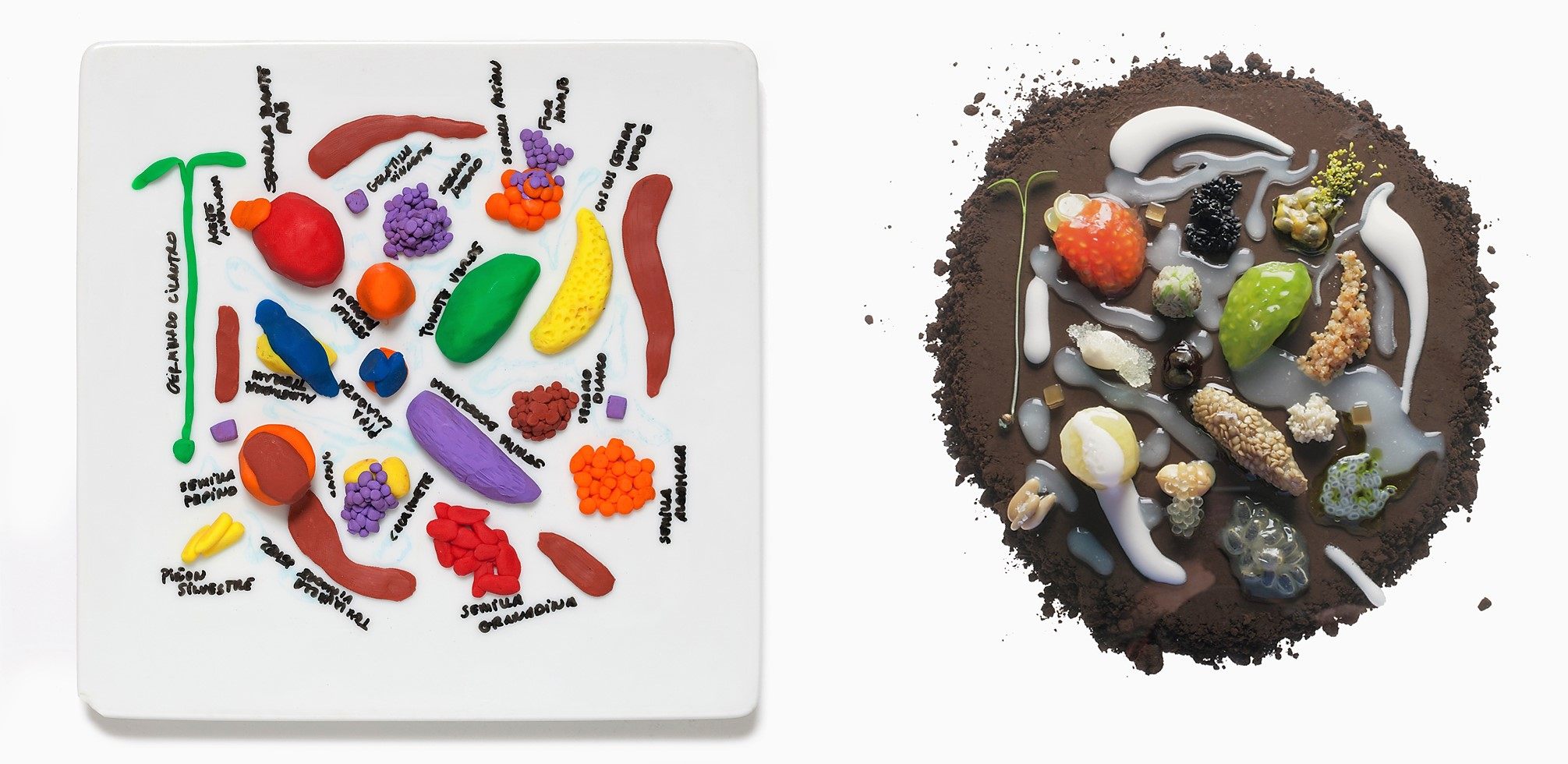 Plasticine models of food by chef Ferran Adrià, owner of El Bulli restaurant .