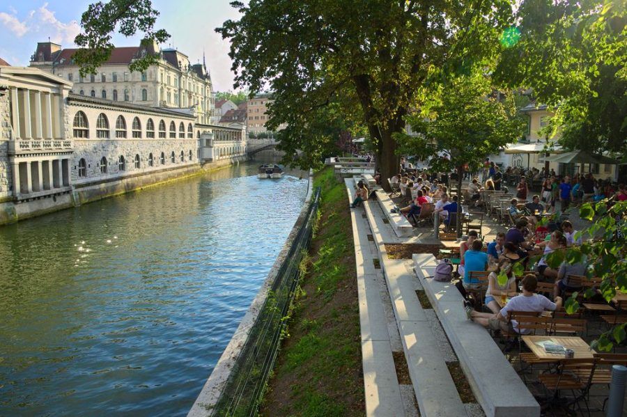 Life at the riverbanks of the Ljubljanica. Copyright: Nicola Vollmer.