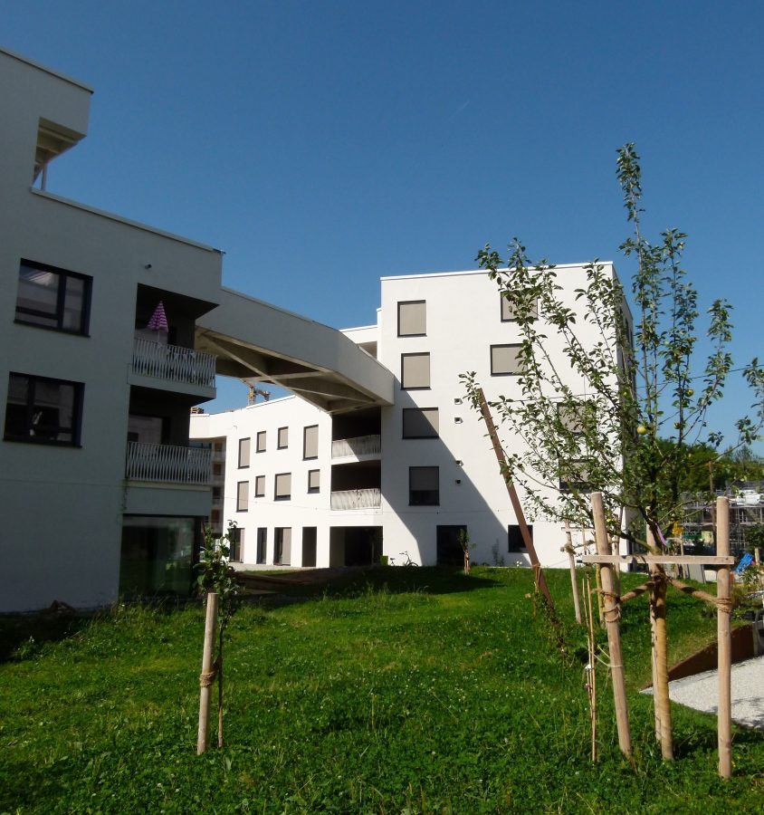 Green spaces were also included in the project, not only on the ground, but also on the roofs. Copyright: Claudia Neeser.