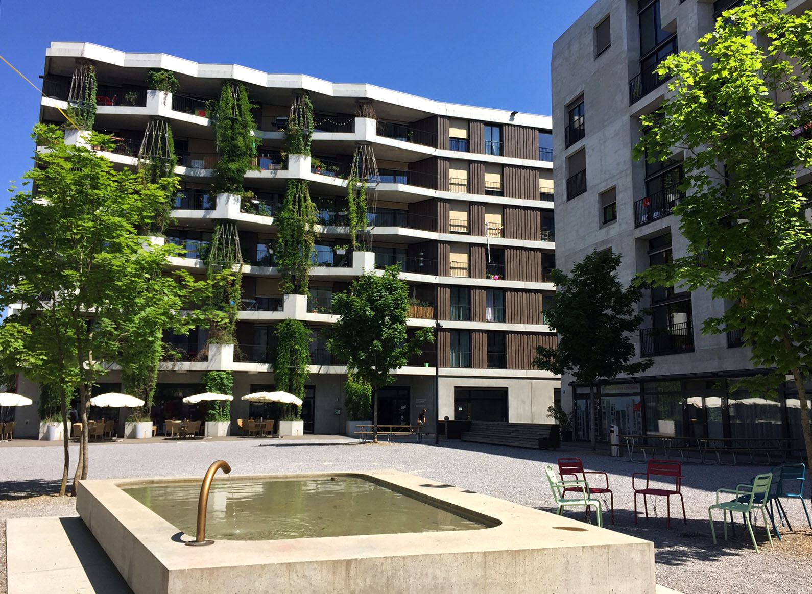 Two of the 13 buildings of the Hunziker area facing the center square, designed by the landscape architecture firm Müller Illien, which was part of the competition project.