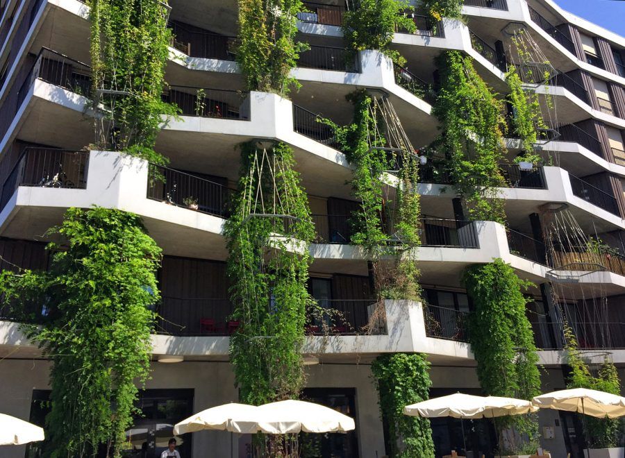 All buildings have names – this one is called “Der Pförtner”, which means “the porters’ lodge” – and, besides the 30 apartments, the complex hosts a restaurant, a guesthouse and the offices of the cooperative.