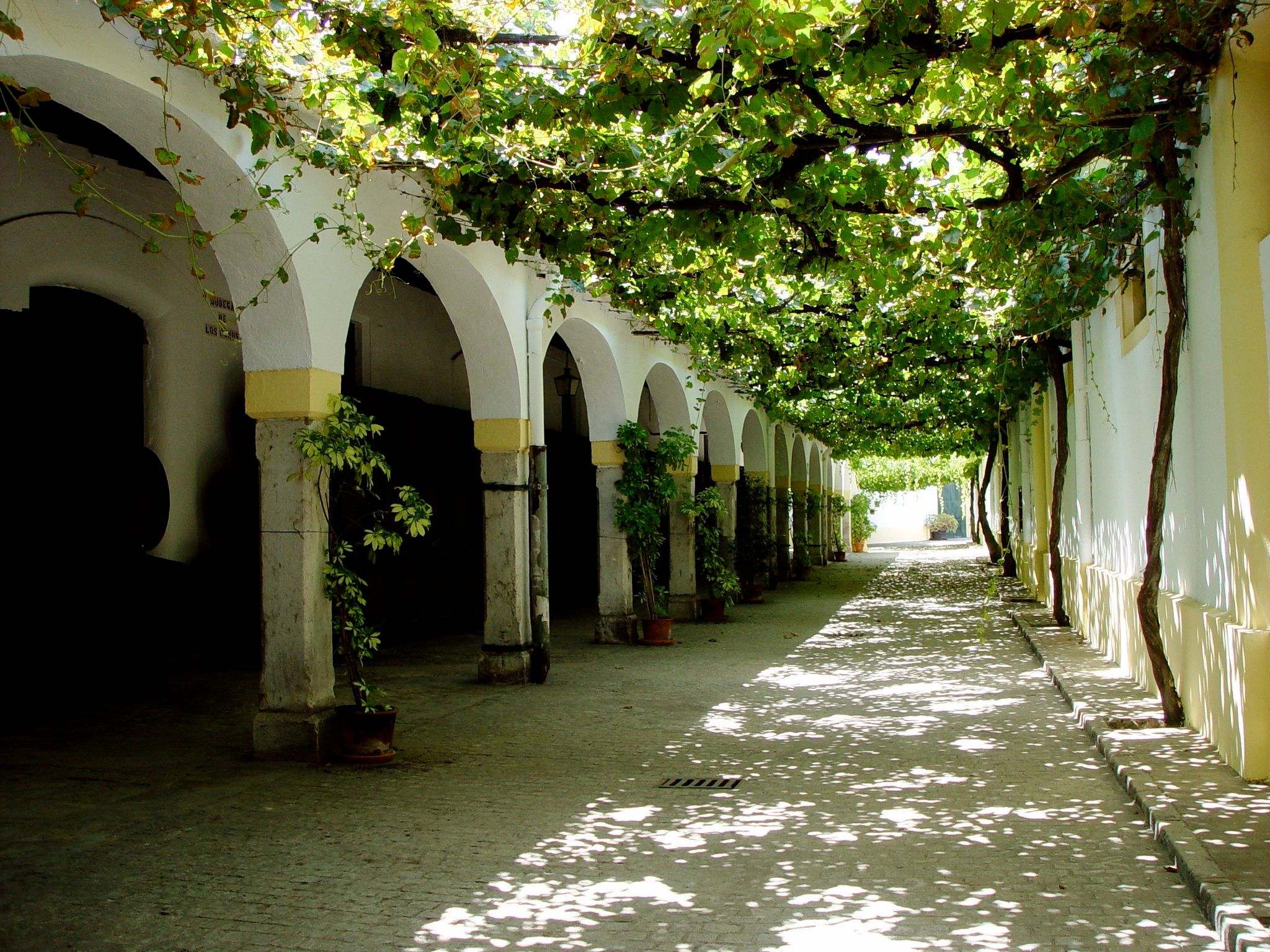 View of the light shaded exteriors of the Winery Domeq - Guiding Architects