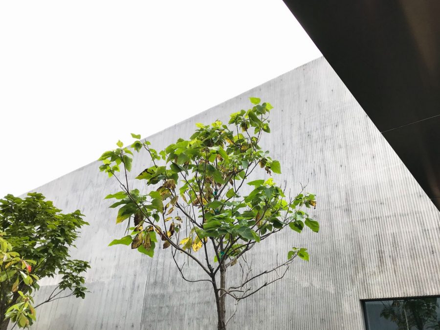 Textured Concrete Façade at 306 Maujer Street / Géza. 