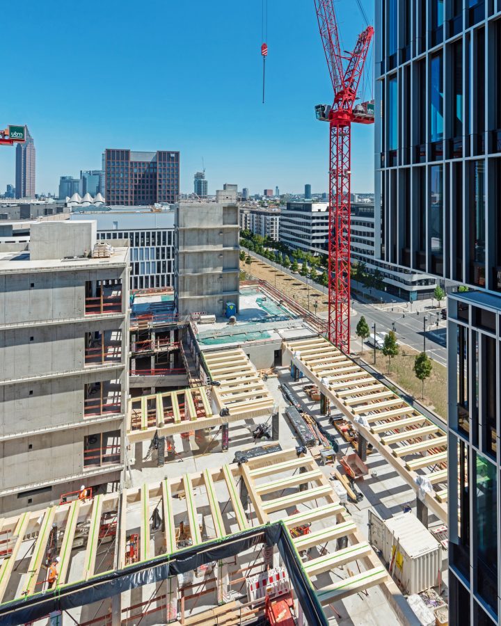 Construction of Timber Pioneer. 