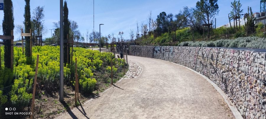 Avenida del Talgo, another of the parts already implemented with three sizes of trees, large (short term), medium (medium term) and small (long term). forêt métropolitaine de Madrid