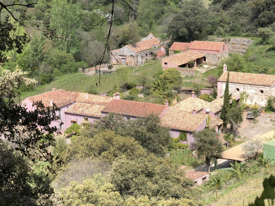 Real Fábrica de Hojalata Winery by Elena Ordoñez. Málaga. 