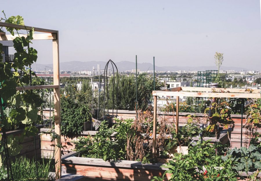 View from the shared rooftop garden,  Seeparq, architecture: POS Architektur. 