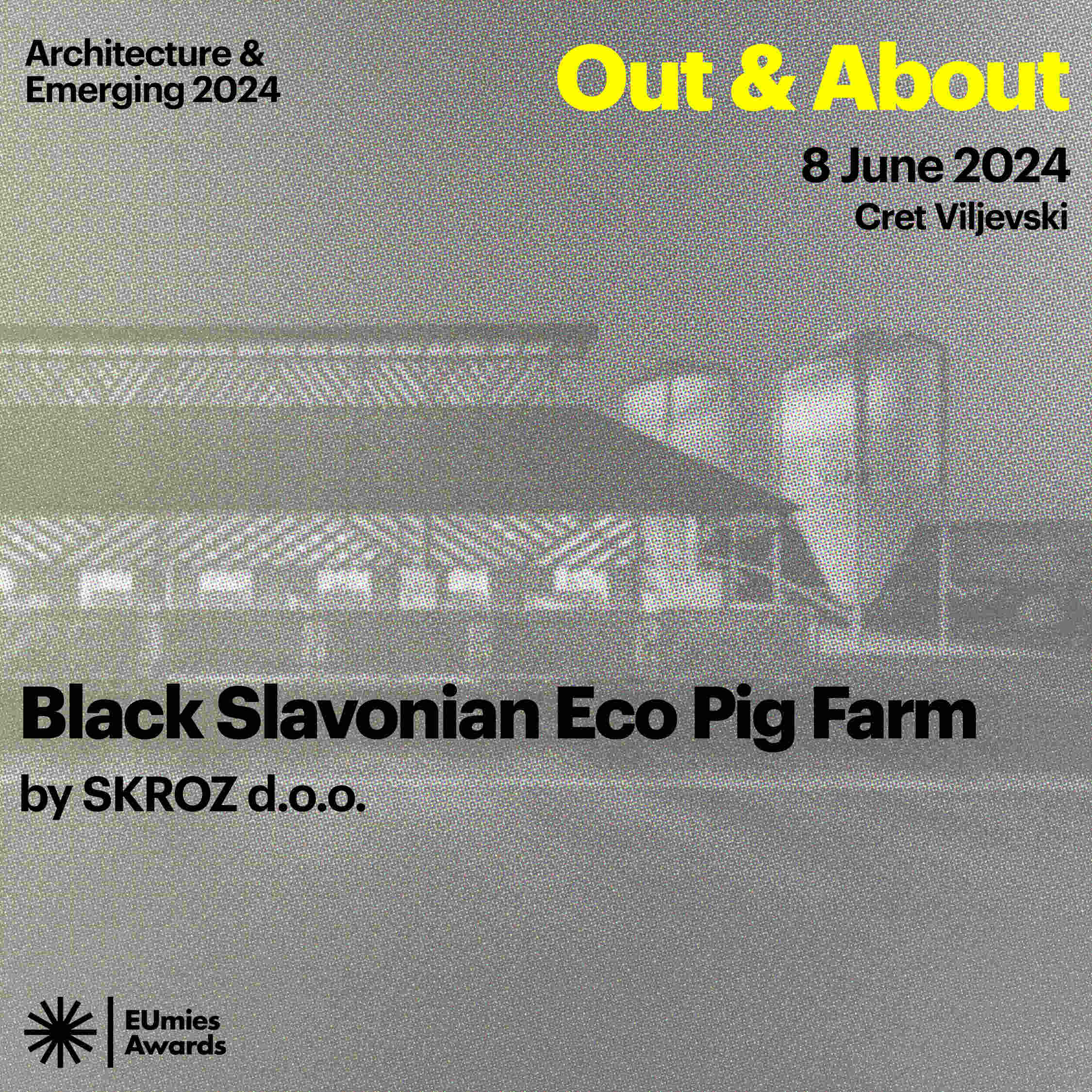 Out & About: Black Slavonian eco pig farm
