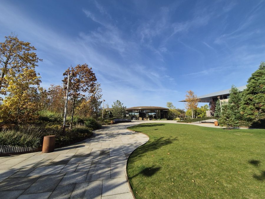 Organic shaped paths along a variety of trees.