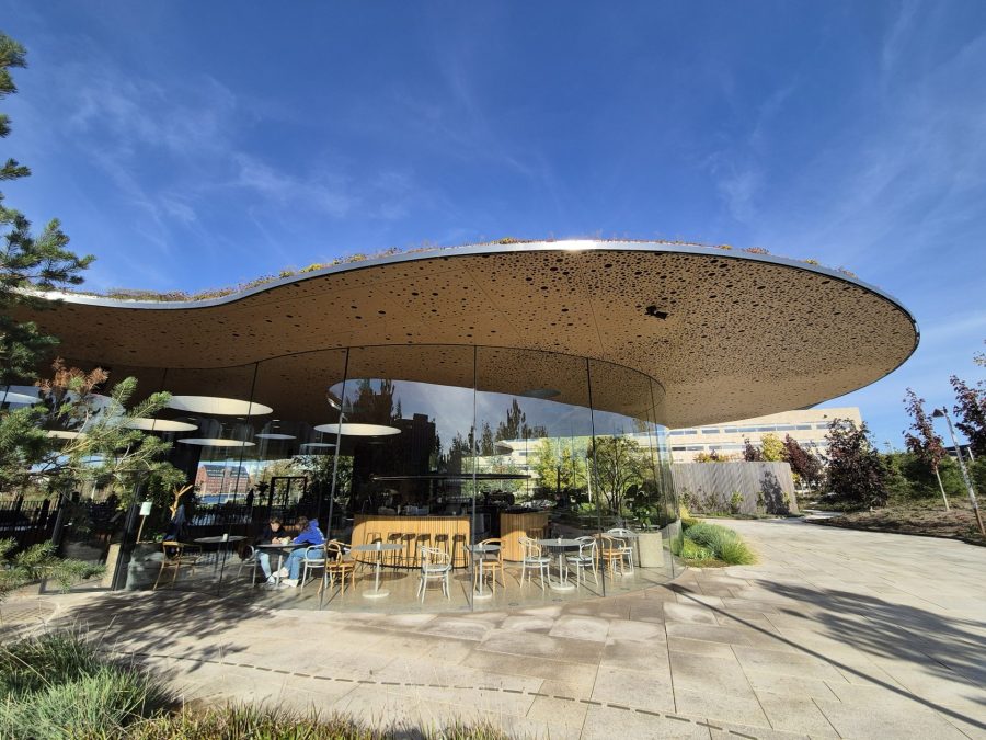 The restaurant in the organic shaped pavilion draws visitors all year round. - puerto de Copenhague